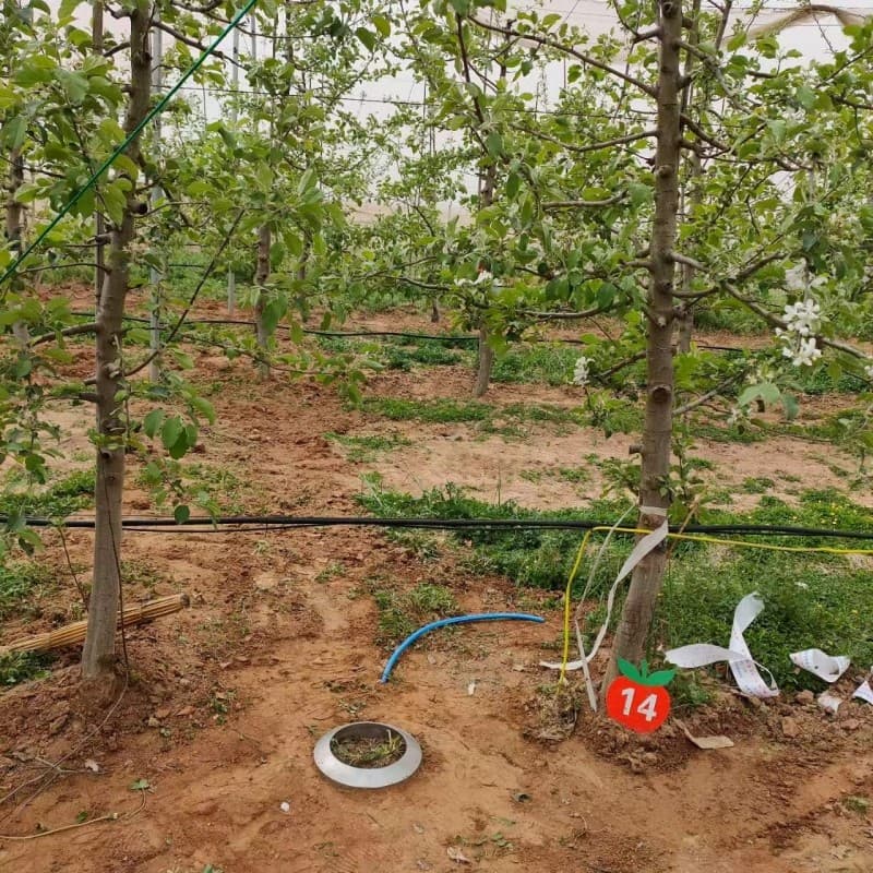 我公司中標(biāo)西北農(nóng)林科技大學(xué)土壤蒸發(fā)觀測系統(tǒng)順利安裝完畢并驗(yàn)收！